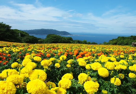 【至福の旅！大吉の旅！】能古島で自然に癒されるリフレッシュ旅【夕朝食付／ぜいたくのろし焼きBBQ】